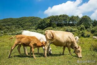 雷竞技苹果官方网站